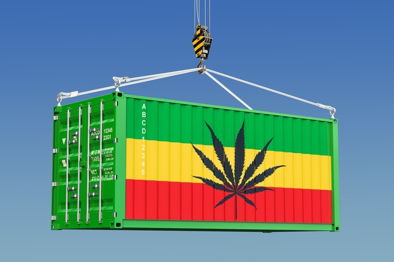 The Source Weekly: Marijuana: Let “Oversupply” Become “Export”